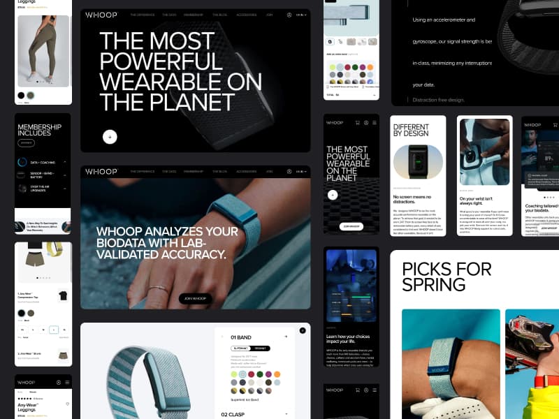 WHOOP Project Image (800 x 600px)